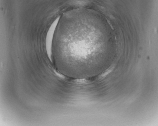 X0000069840528200606021404