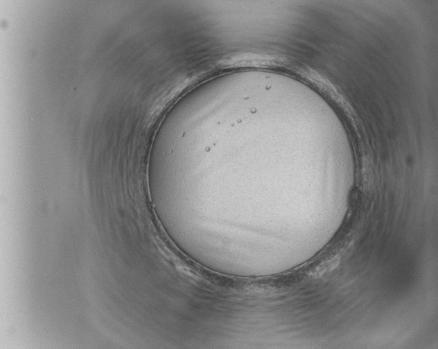 X0000069840529200606021404