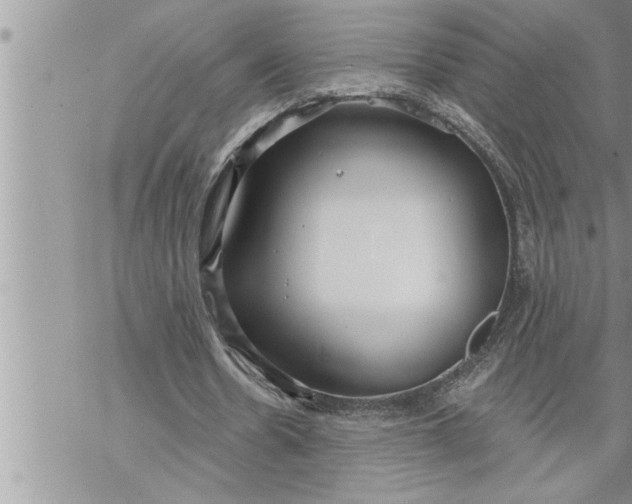 X0000069840530200606021404