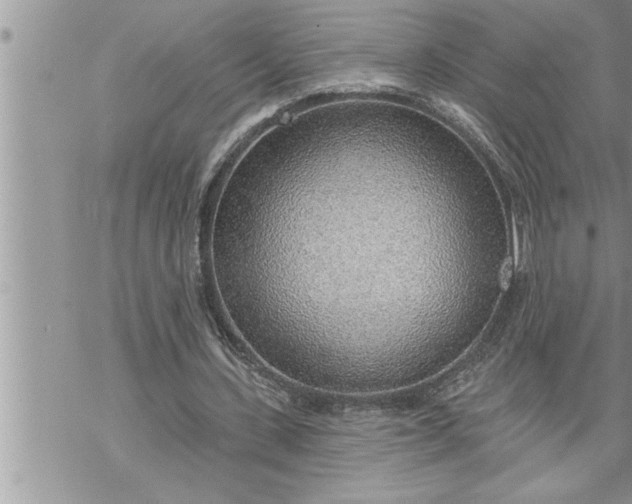 X0000069840531200606021404