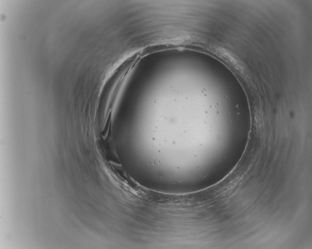 X0000069840532200606021404