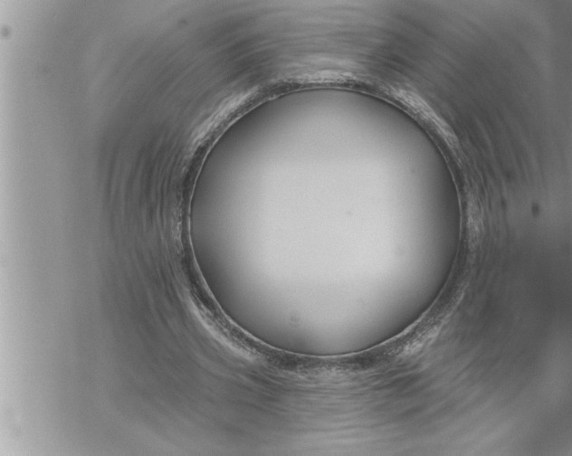 X0000069840533200606021404