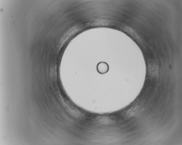 X0000069840534200606021404