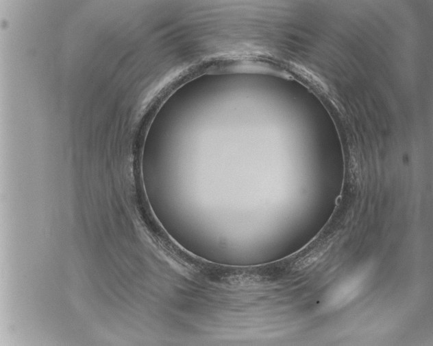 X0000069840535200606021404