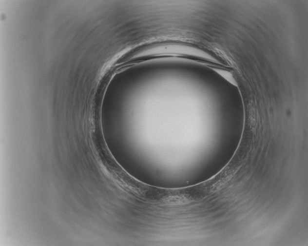 X0000069840536200606021404