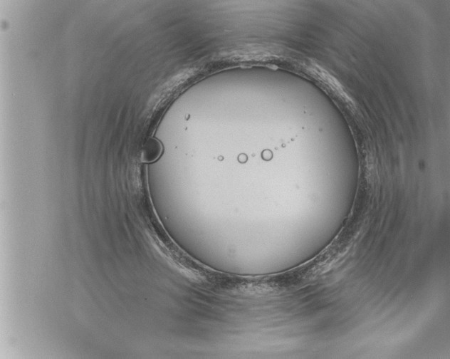 X0000069840537200606021404