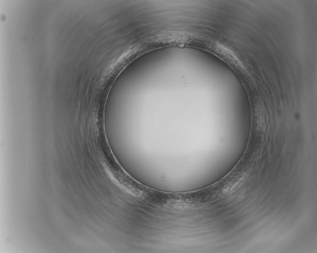 X0000069840538200606021404