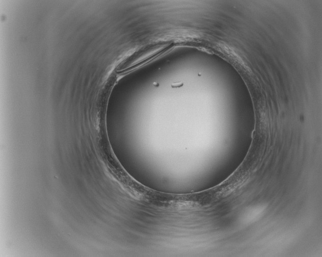 X0000069840539200606021404