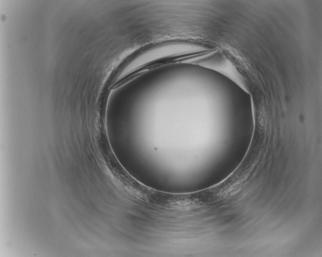 X0000069840540200606021404