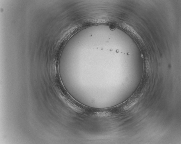 X0000069840541200606021404