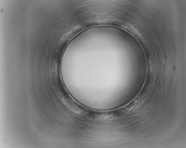 X0000069840542200606021404