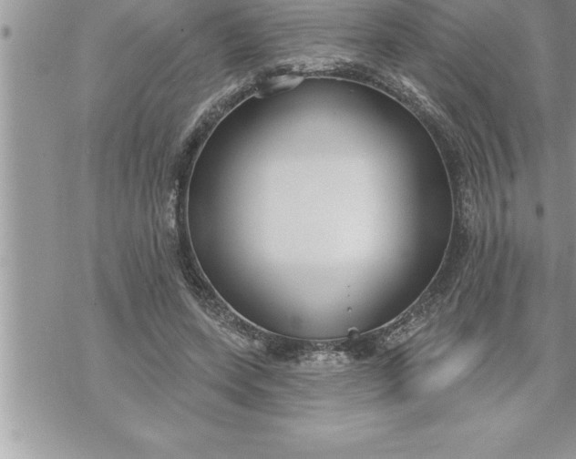 X0000069840543200606021404