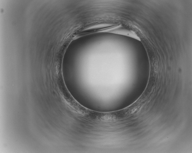 X0000069840546200606021404