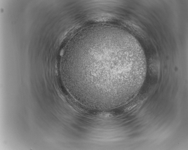 X0000069840547200606021404