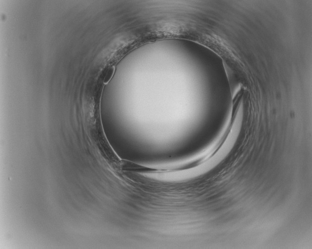 X0000069840548200606021404