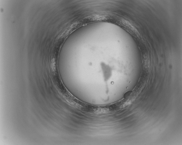 X0000069840549200606021404