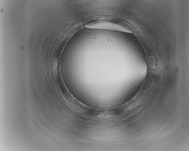 X0000069840550200606021404