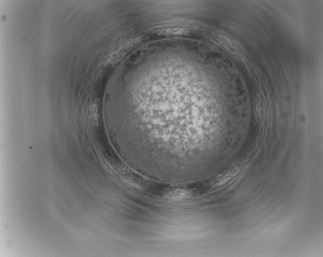 X0000069840551200606021404