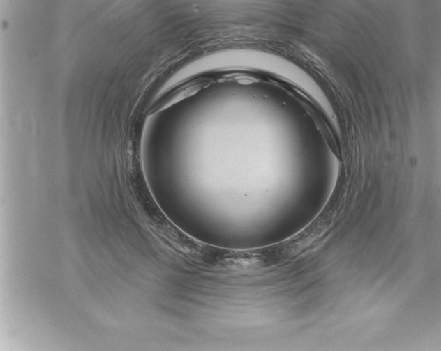 X0000069840552200606021404