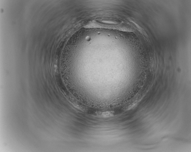 X0000069840553200606021404