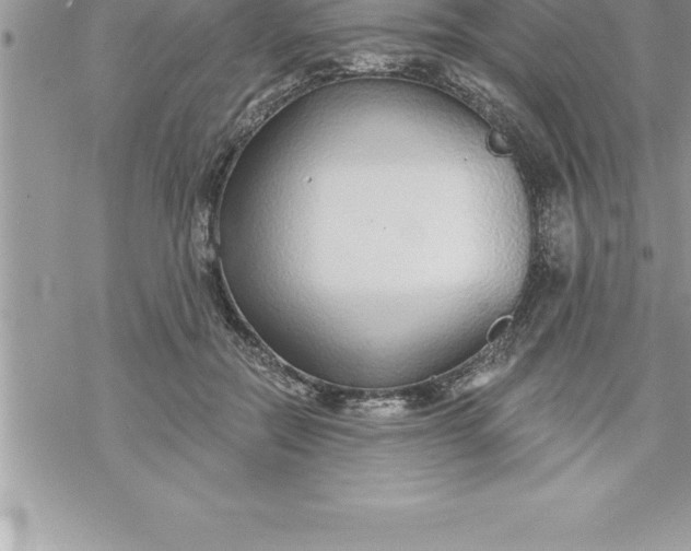 X0000069840554200606021404