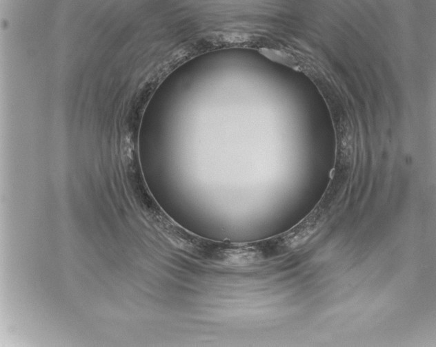 X0000069840555200606021404