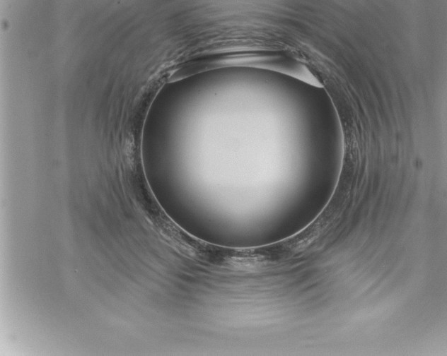 X0000069840556200606021404