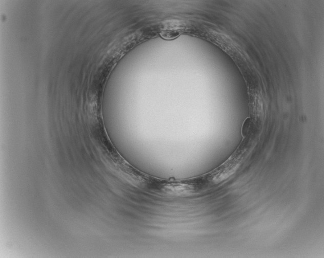 X0000069840557200606021404