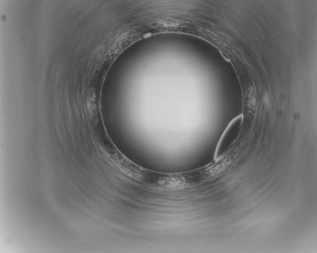 X0000069840559200606021404