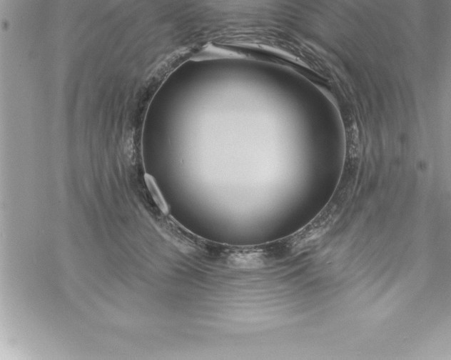 X0000069840560200606021404