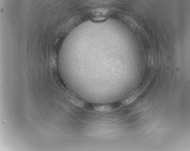 X0000069840561200606021404