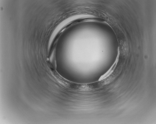 X0000069840562200606021404