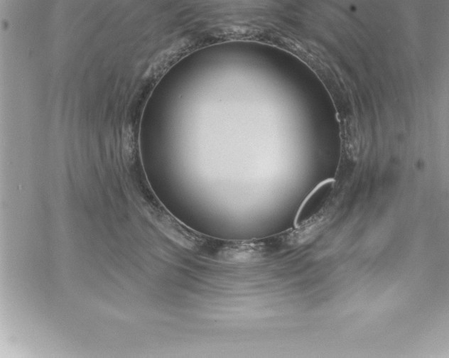 X0000069840563200606021404