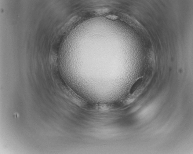 X0000069840565200606021404