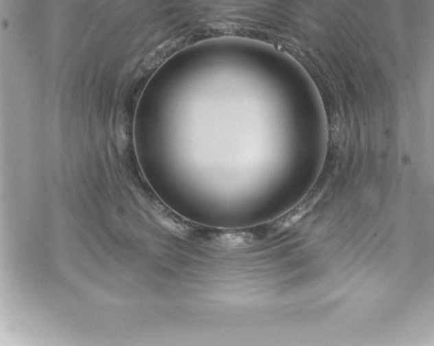 X0000069840566200606021404