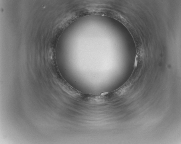 X0000069840567200606021404