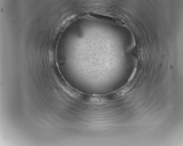 X0000069840568200606021404