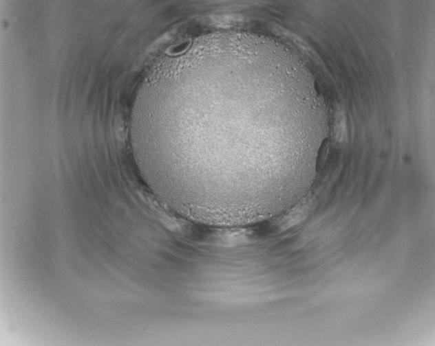 X0000069840569200606021404