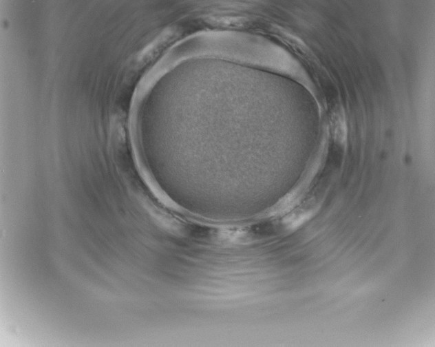 X0000069840570200606021404