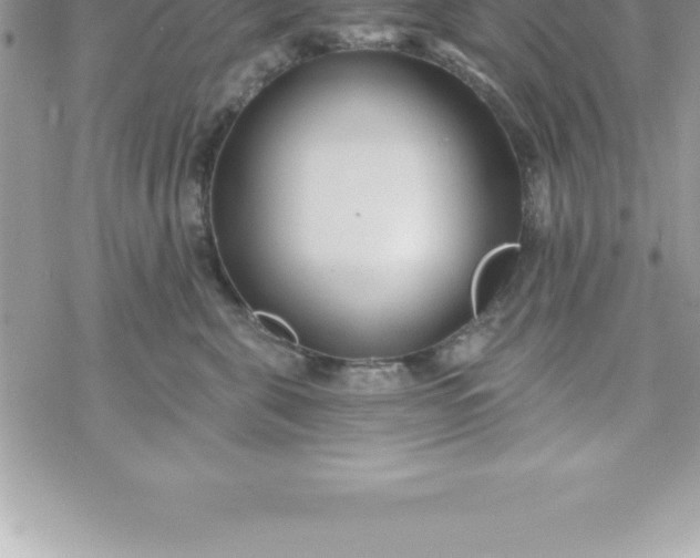 X0000069840571200606021404