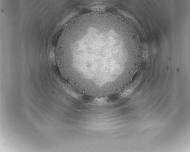 X0000069840573200606021404