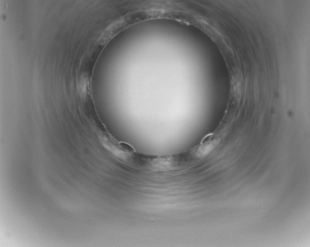 X0000069840574200606021404