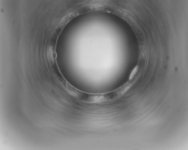 X0000069840575200606021404