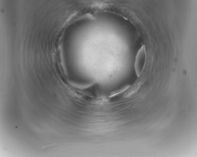 X0000069840576200606021404