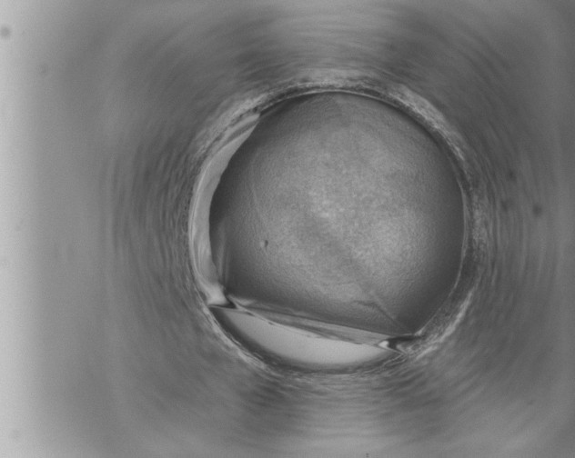 X0000069840577200606021404