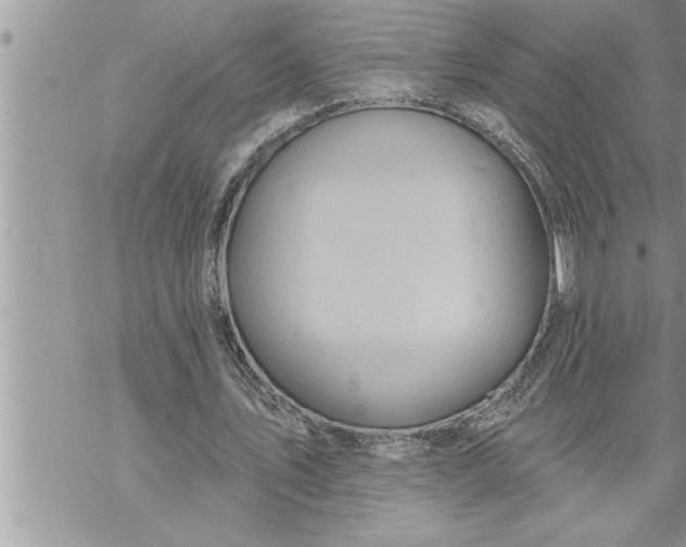 X0000069840579200606021404