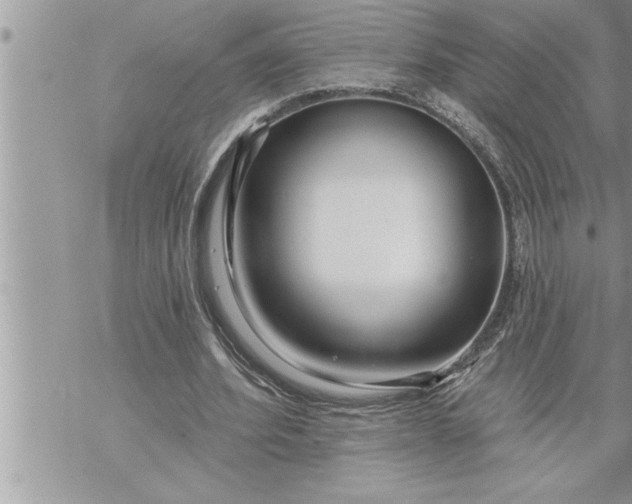 X0000069840580200606021404