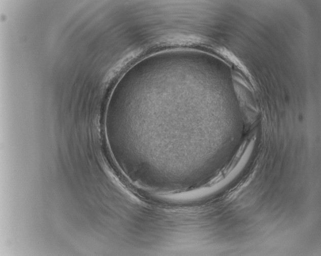 X0000069840581200606021404