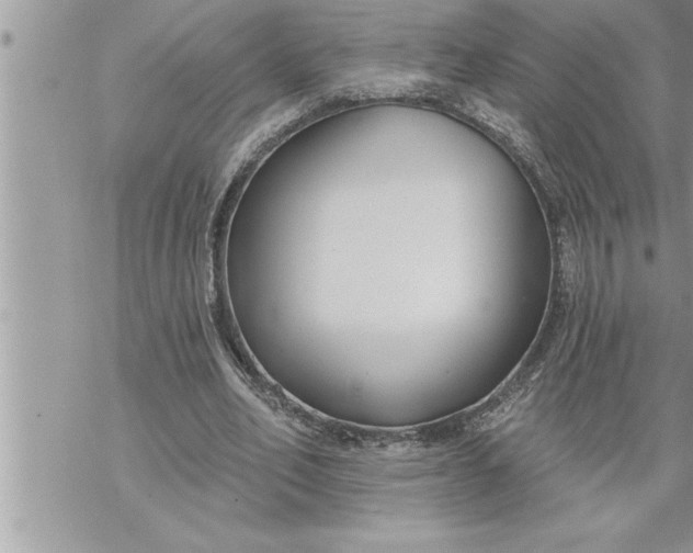 X0000069840582200606021404