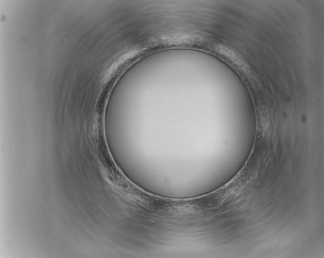 X0000069840583200606021404